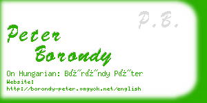 peter borondy business card
